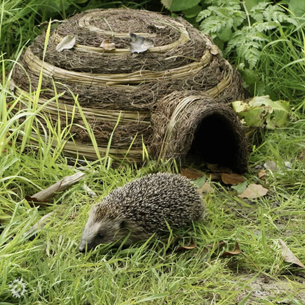 manual override of the alt attribute