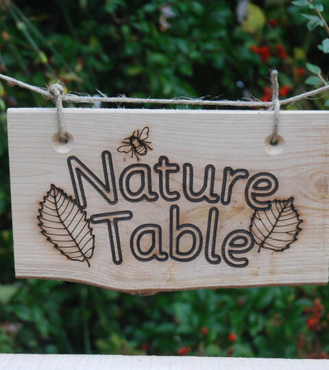 Rustic Sign - Nature Table