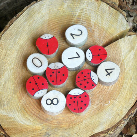Hand Painted Double Sided Number Bugs - 0-10