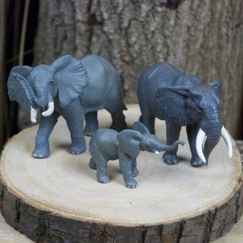 Elephant Family Set