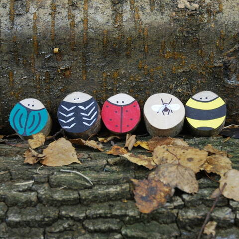 Hand Painted Mixed Insects - Set of 5