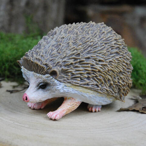 Hand Painted Hedgehog