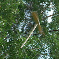 manual override of the alt attribute