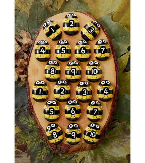 Honey Bee Counting Set