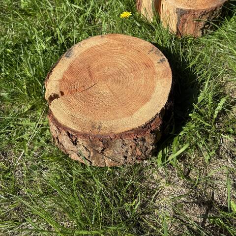 Log Round / Tinker Block