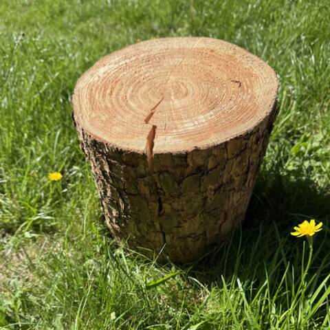 Log Seats - 30cm high