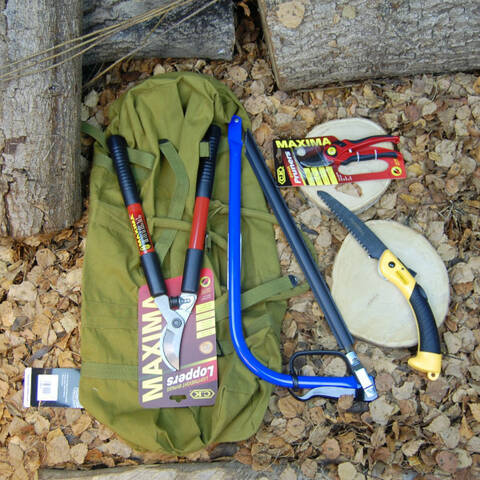 Forest School Pruning Kit