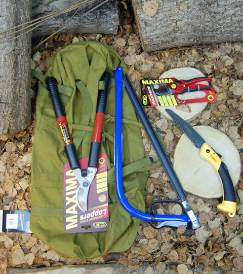 Forest School Pruning Kit