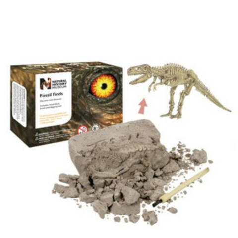 NHM T-Rex Fossil Find