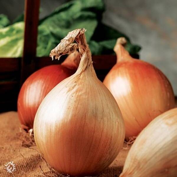 manual override of the alt attribute