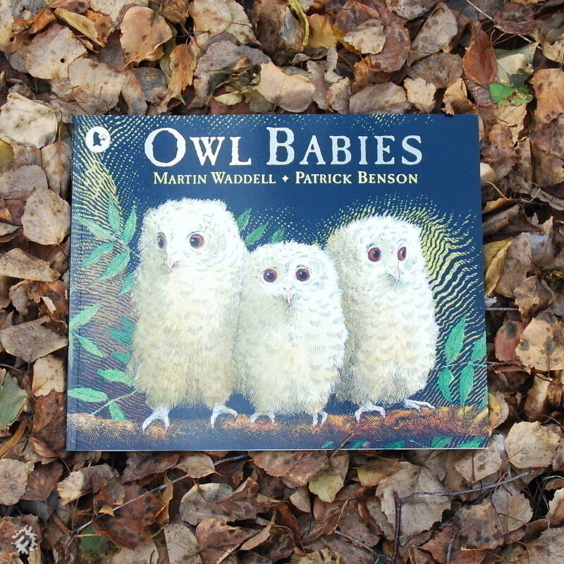 Owl Babies by Martin Waddell