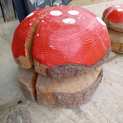 UK Grown Wood