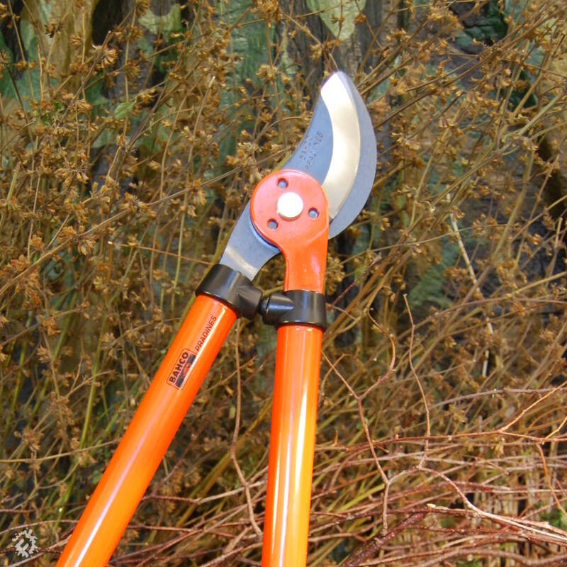 Loppers for deals pruning trees