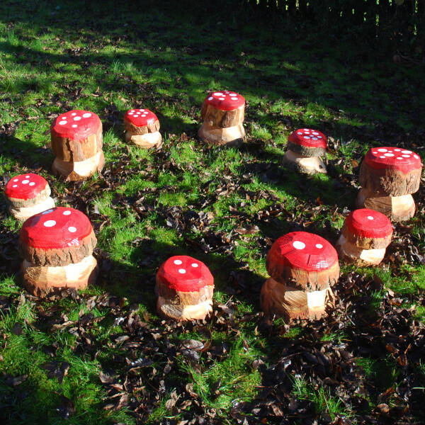 MFW4027 number mushrooms600 MFW4027 number mushrooms600