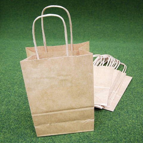 Paper Carrier Bags with Twisted Handles - Pack of 10