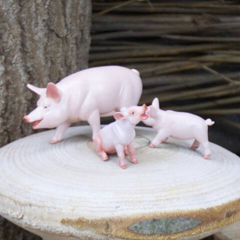 Pig Family Set