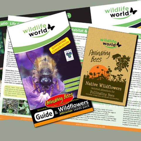Pollinating Bee Attractor Seed Pack and Guide