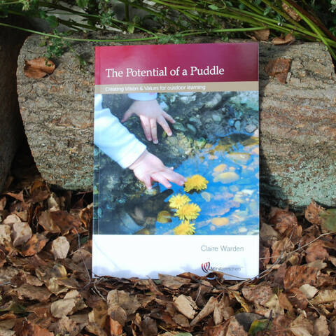 Potential of a Puddle - Claire Warden
