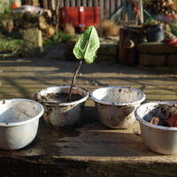 manual override of the alt attribute