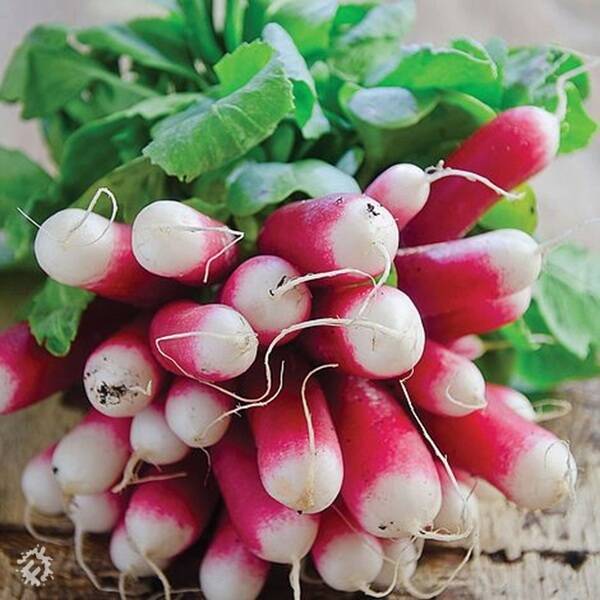 manual override of the alt attribute