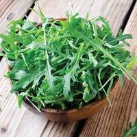 manual override of the alt attribute