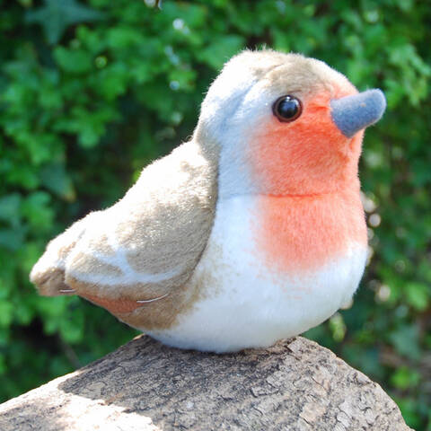 Robin - Singing Bird