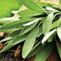 manual override of the alt attribute