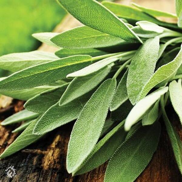 manual override of the alt attribute