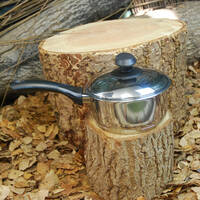 manual override of the alt attribute