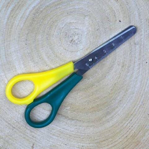 Scissors - Left Handed