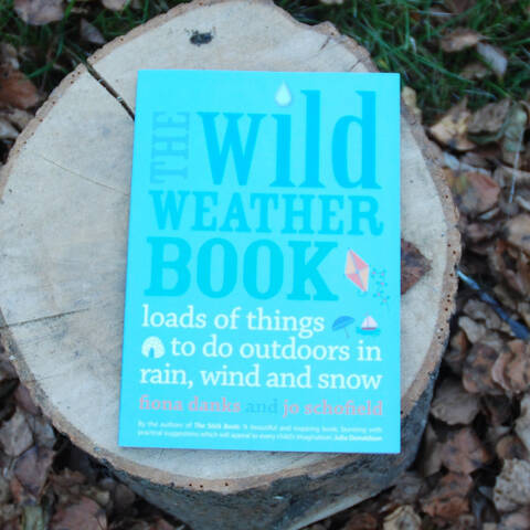 The Wild Weather Book - Fiona Danks & Jo Schofield