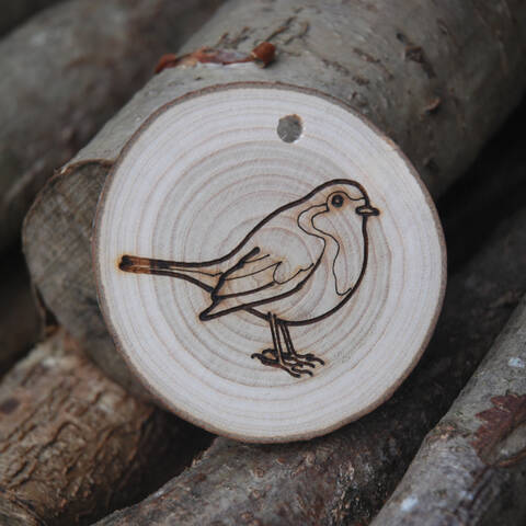 Trail Disc - Bird - Robin