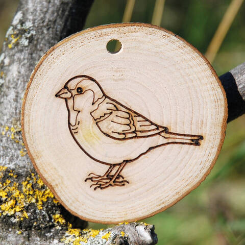 Trail Disc - Bird - Sparrow