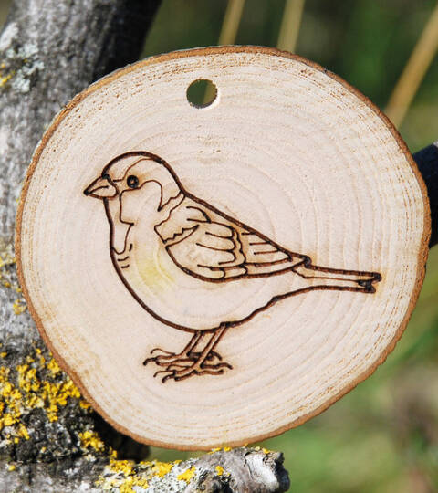 Trail Disc - Bird - Sparrow