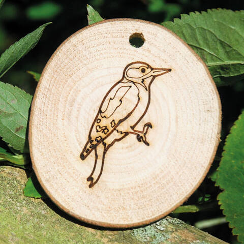 Trail Disc - Bird - Woodpecker