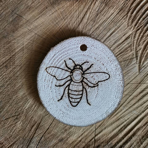 Trail Disc - Minibeasts - Honey Bee