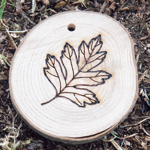Trail Disc - Leaf - Hawthorn