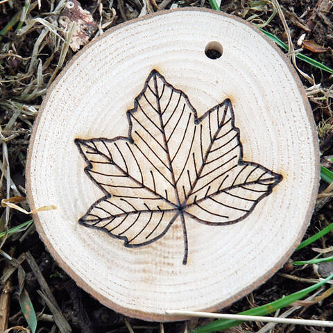 Trail Disc - Leaf - Sycamore