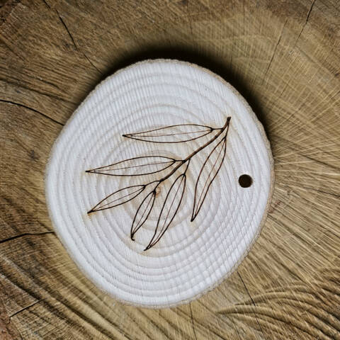 Trail Disc - Leaf - Willow