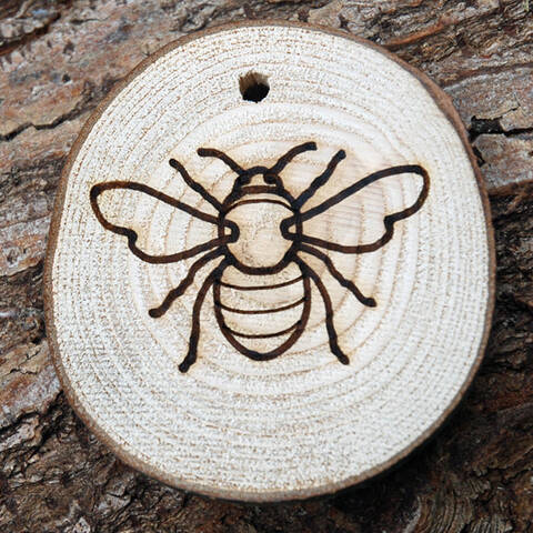Trail Disc - Minibeasts - Bee