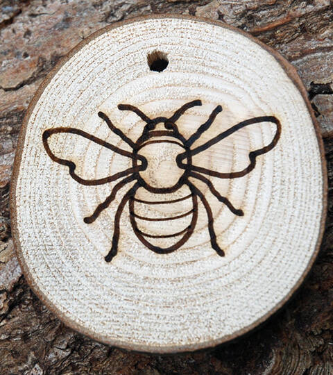 Trail Disc - Minibeasts - Bee