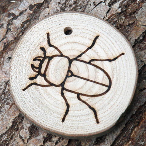 Trail Disc - Minibeasts - Beetle