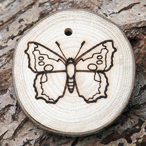 Trail Disc - Minibeasts - Butterfly