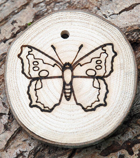 Trail Disc - Minibeasts - Butterfly