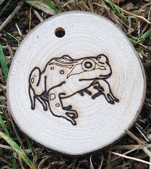 Trail Disc - Wildlife - Frog