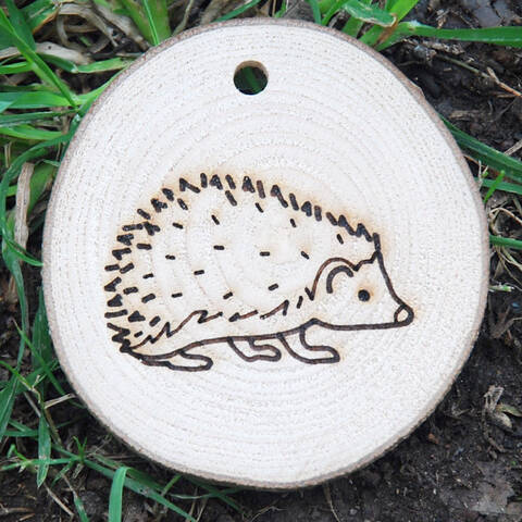 Trail Disc - Wildlife - Hedgehog
