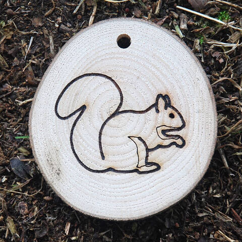 Trail Disc - Wildlife - Squirrel