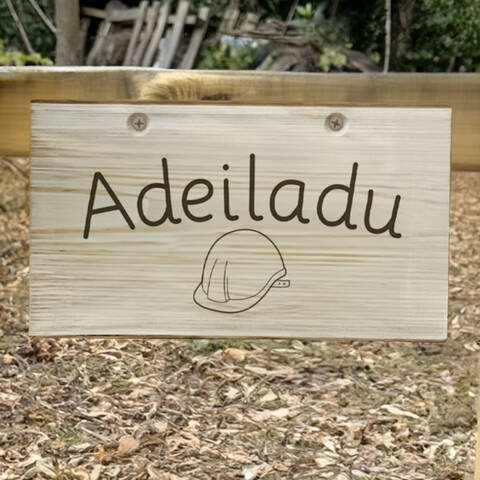 Wooden sign - Adeiladu (Welsh - Construction)