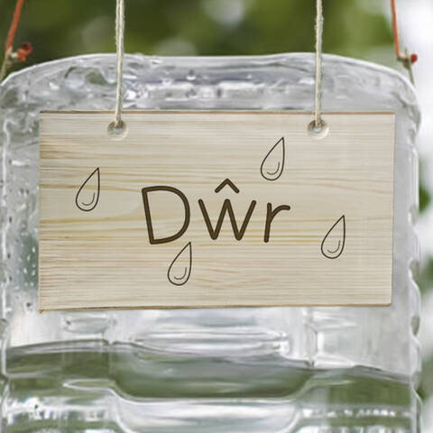 Wooden sign - Dwr (Welsh - Water)