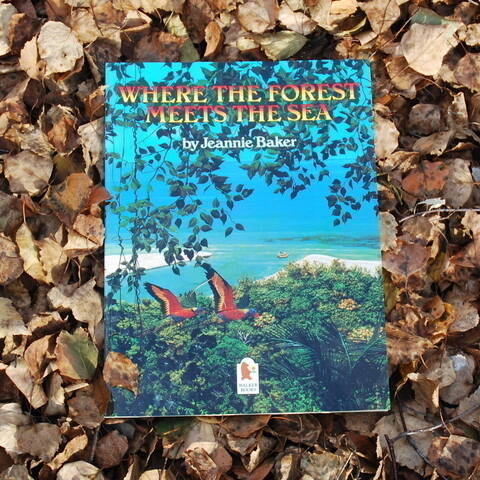 Where the Forest Meets the Sea - Jeannie Baker